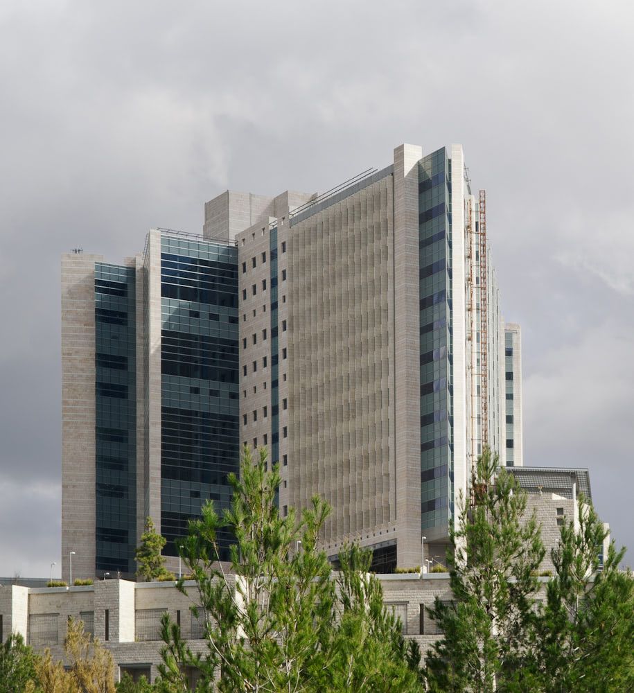 Immagine 2 - Hadassah Hospital