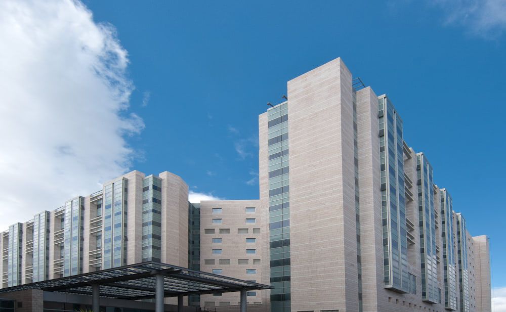 Immagine 4 - Hadassah Hospital