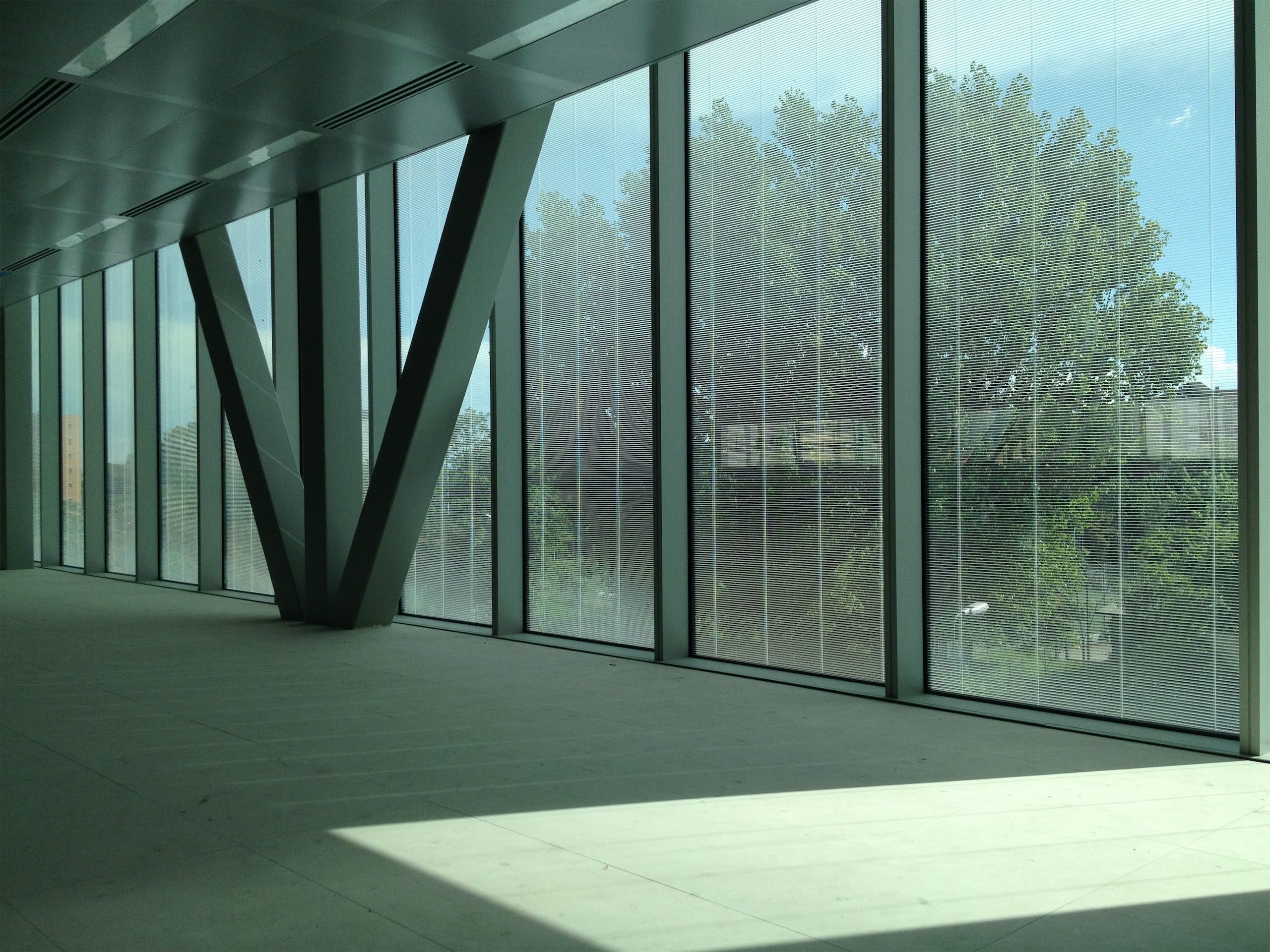 Immagine 4 - Parallelo