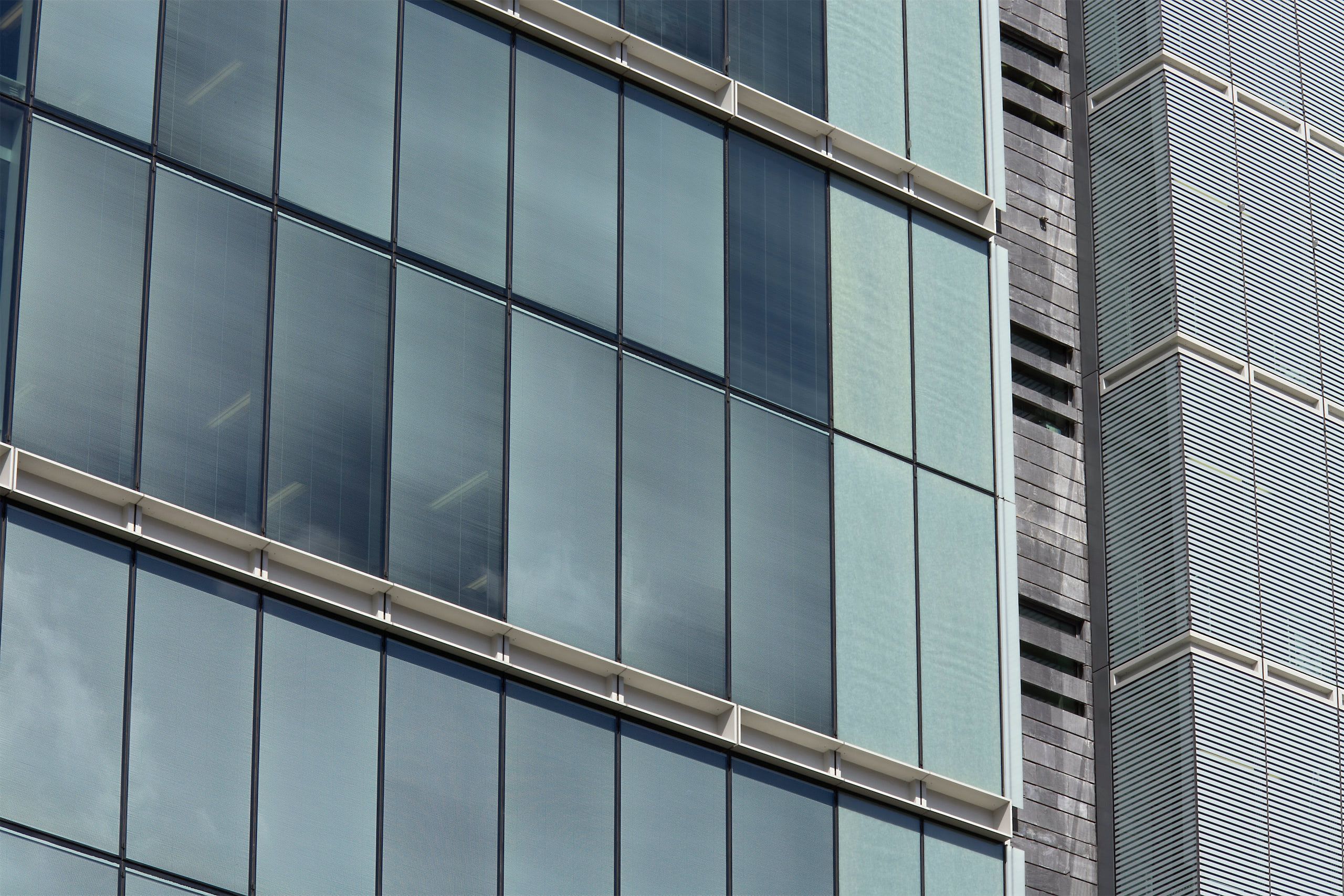 Immagine 5 - Snow Hill