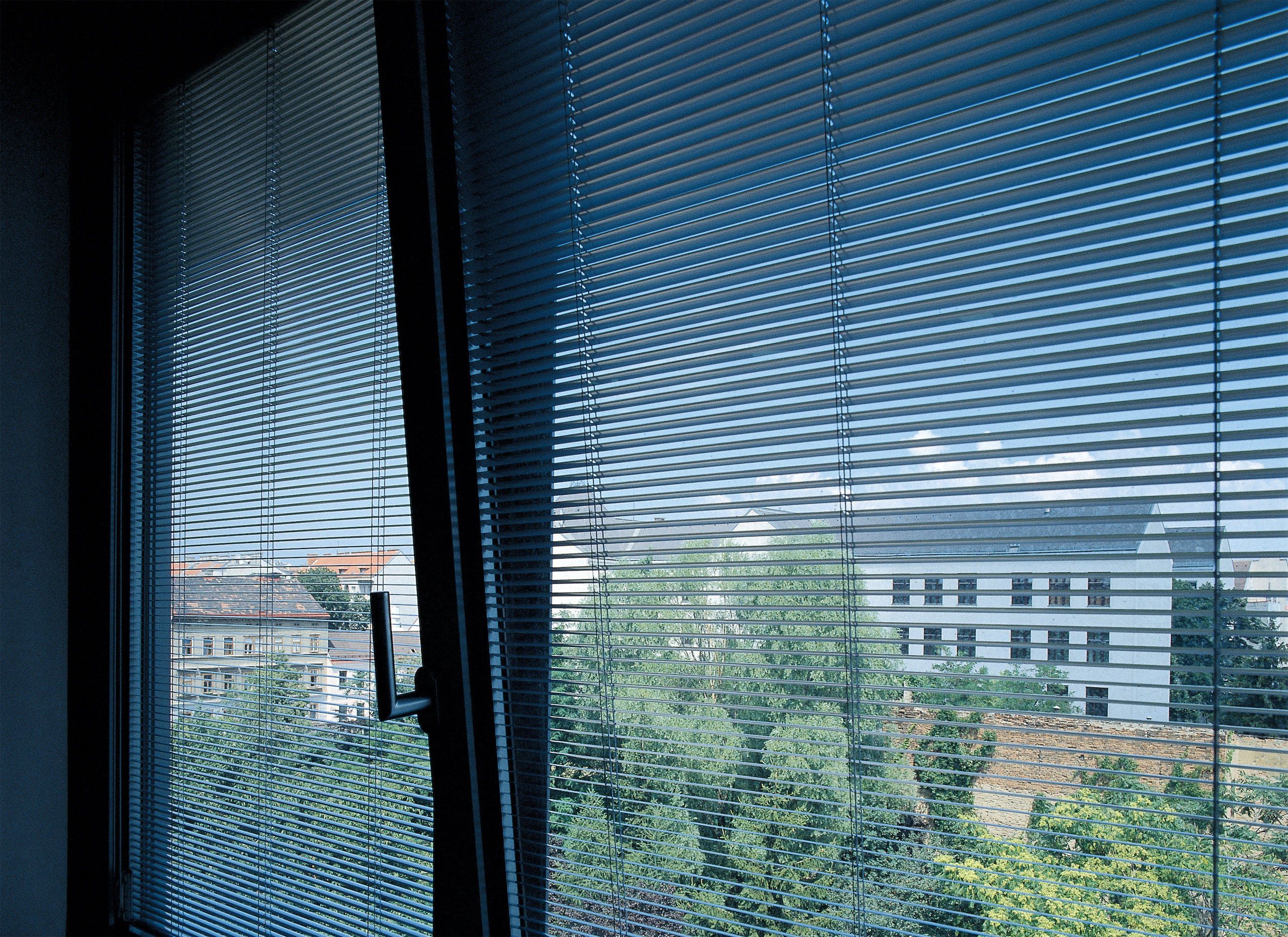 Immagine 3 - Università di Vienna