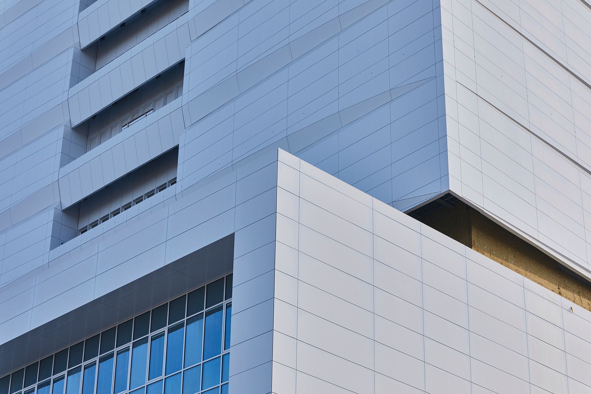 Immagine 5 - IRCCS Ospedale Galeazzi - Sant’Ambrogio